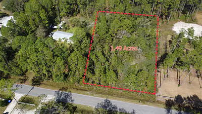 4240 MELANIE STREET Hastings FL
