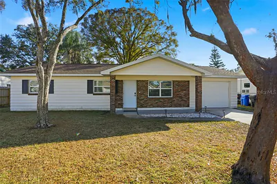 118 CONNIE AVENUE Tampa FL