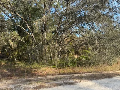 00 SW 136TH TERRACE Dunnellon FL