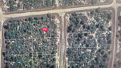 3138 ASTER AVENUE Lake Placid FL