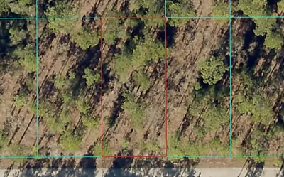 TBD1 NW TAMARIND LANE Dunnellon FL