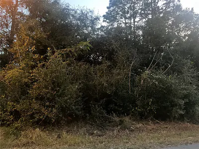 0 NW 19TH LN Ocala FL
