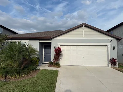 6684 DEVLIN LANE Wesley Chapel FL