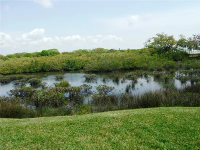 161 CLUBVIEW DRIVE 123 #123 Safety Harbor FL