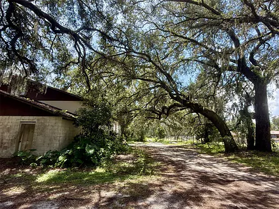 2555 PLACE POND ROAD De Leon Springs FL