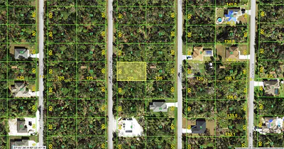 264 KRIEGER STREET Port Charlotte FL