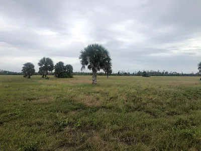 11968 Ronda Drive, Placida, FL Placida FL