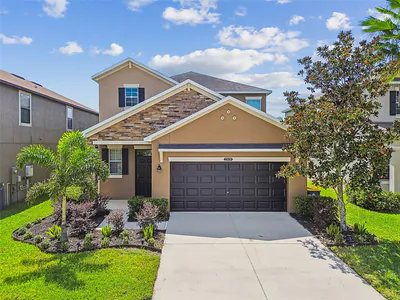21430 STARRY EYES WAY Land O Lakes FL