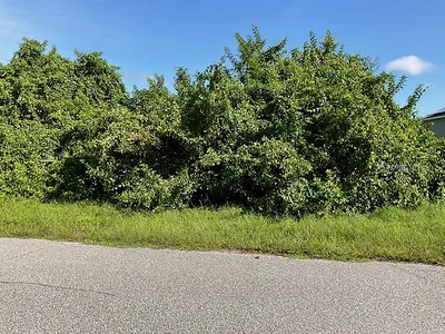 236 BERTHOUD STREET Port Charlotte FL