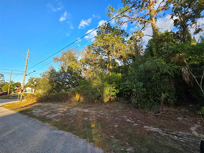 11290 SPRING HILL DRIVE Spring Hill FL