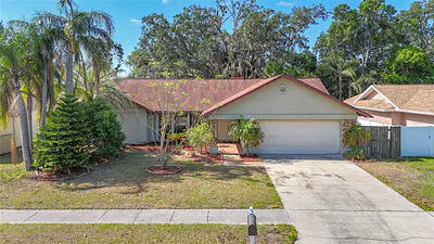 1623 CARTER OAKS DRIVE Valrico FL