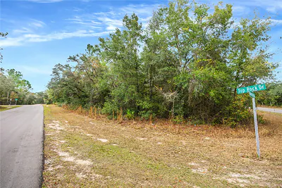 TOP ROCK DRIVE Webster FL