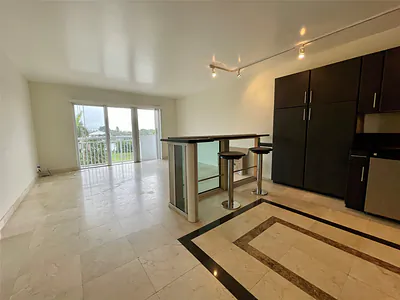 550 Bayshore Drive 411, Fort Lauderdale, FL 33304 #411 Fort Lauderdale FL