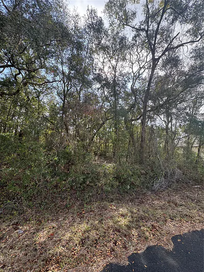 TBD LOCUST LOOP TERRACE Ocala FL