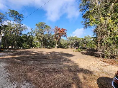 00 SE 130TH PLACE Belleview FL