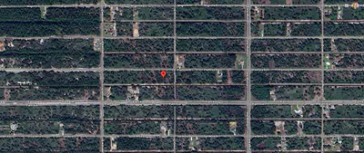 903 PLUMOSA DRIVE Indian Lake Estates FL