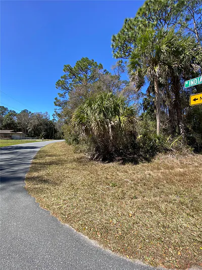 11357 W INDIAN WOODS PATH Crystal River FL