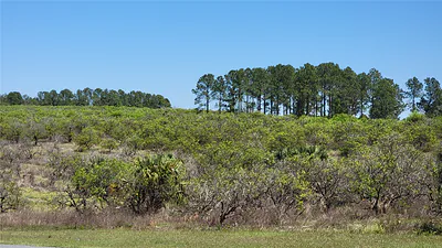 0 THRILL HILL ROAD Eustis FL