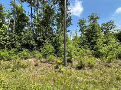 TBD MAGNOLIA LANE Marianna FL