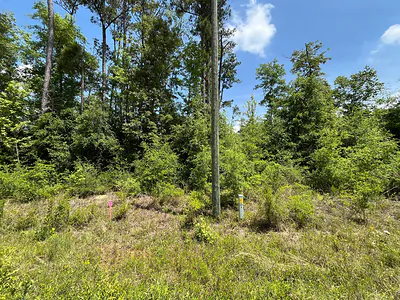 Tbd Magnolia Lane, Marianna, FL 32448 Marianna FL
