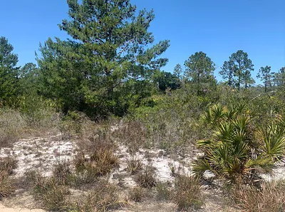 2918 W Gaffney Road, Avon Park, FL 33825 Avon Park FL