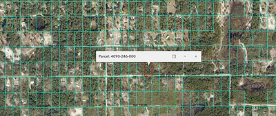 SW 155TH STREET Dunnellon FL
