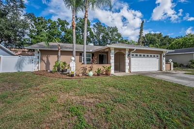 2661 KNOLL STREET E Palm Harbor FL