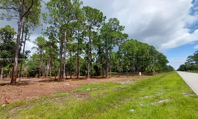 533 Appaloosa Ave Clewiston FL
