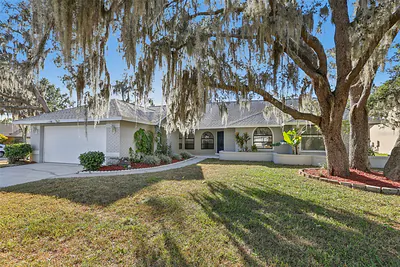 3225 PINE CLUB DRIVE Plant City FL