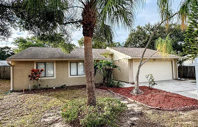 2884 CINNAMON BEAR TRAIL Palm Harbor FL