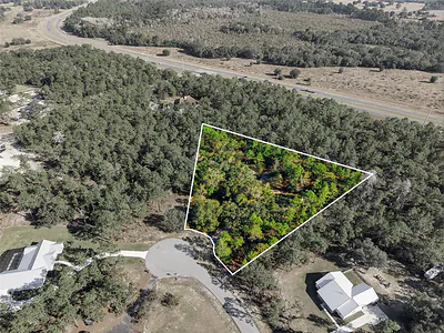 1811 COUNTY ROAD 243D Wildwood FL