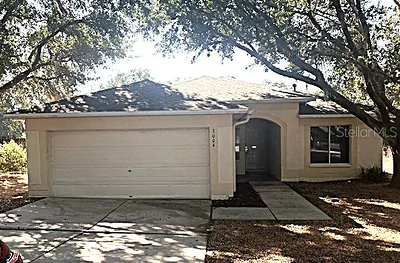 3004 SUMMER HOUSE DRIVE Valrico FL