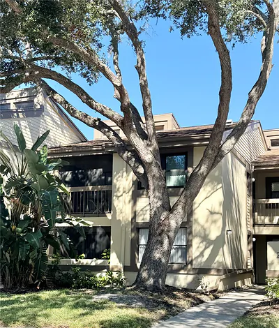 247 WOODLAKE WYNDE Oldsmar FL