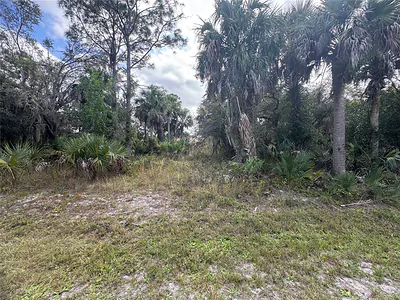 26129 FLOWER ROAD Punta Gorda FL