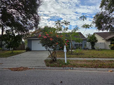 24914 SILVERSMITH DRIVE Lutz FL