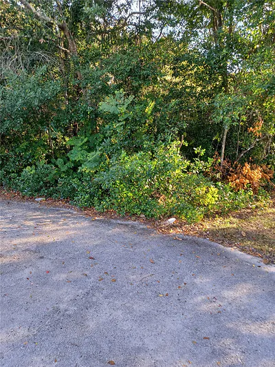 1193 ACORN COURT Deltona FL