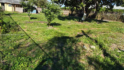 5730 SW 26th St West Park FL