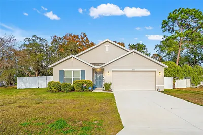 2448 DOTHAN AVENUE Spring Hill FL