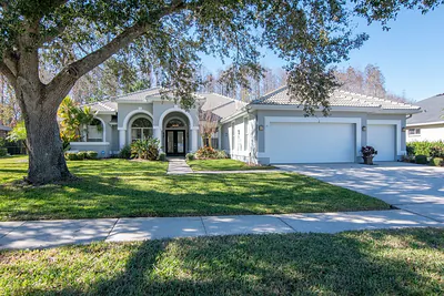 18916 SAINT LAURENT DRIVE Lutz FL