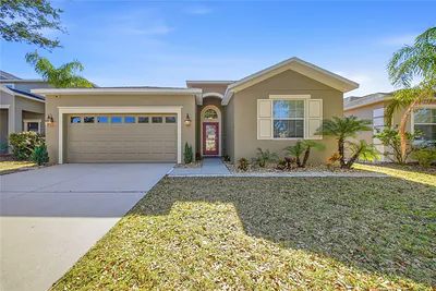 11209 FLORA SPRINGS DRIVE Riverview FL