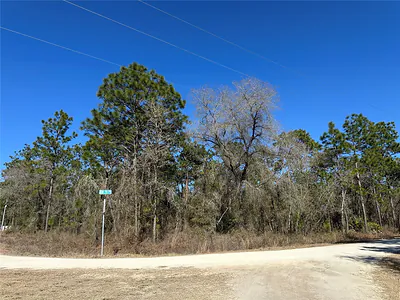 00 SW 78TH PLACE Dunnellon FL