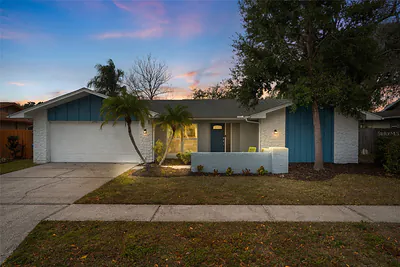 3442 GLOSSY IBIS COURT Palm Harbor FL