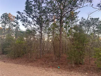 0000 SW 130TH TERRACE Dunnellon FL