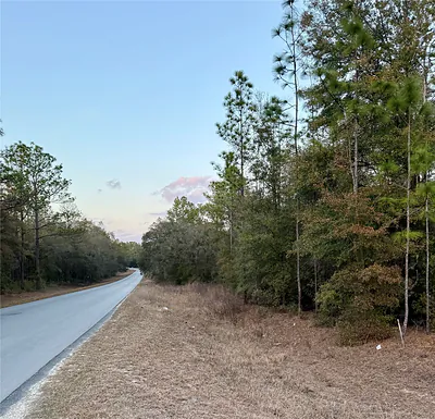 SW 129TH TERRACE ROAD Ocala FL