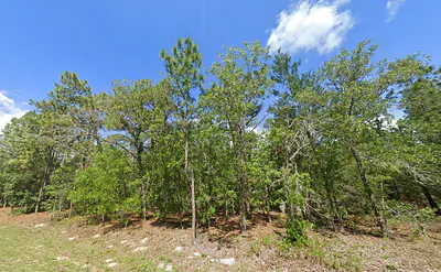 1950 CR 243B Wildwood FL