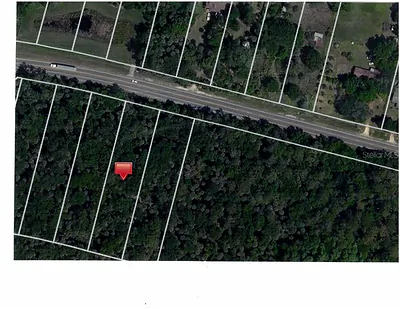 S ORANGE BLOSSOM TRAIL Davenport FL