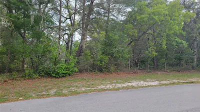 RABBIT DRIVE New Port Richey FL