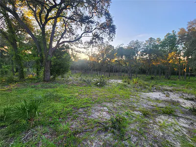 TBD NE 82ND PLACE Bronson FL