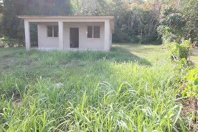 Bo Factor Ward BARITONO Lot 224 #Lot 224 Arecibo PR