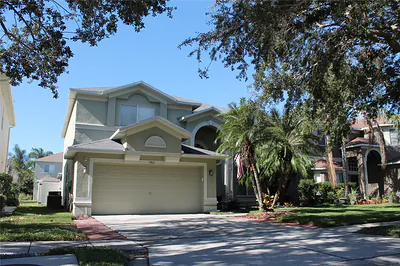 19411 SANDY SPRINGS CIRCLE Lutz FL